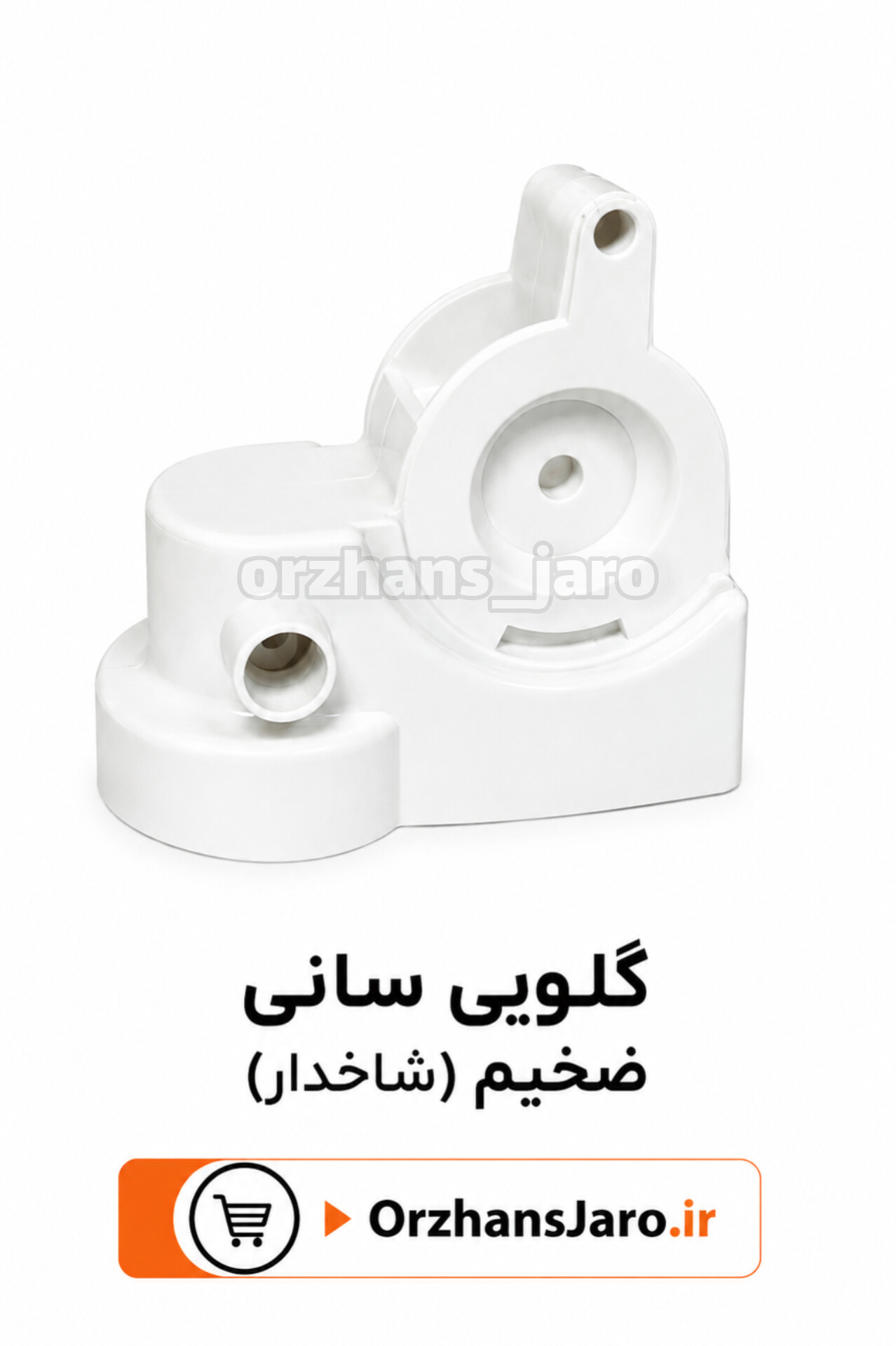گلویی سانی ضخیم ( شاخ دار)